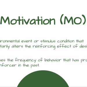 Natural Environment Teaching (NET) Training: A PowerPoint Training